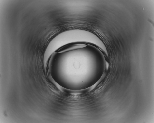 X0000095130325200712071314