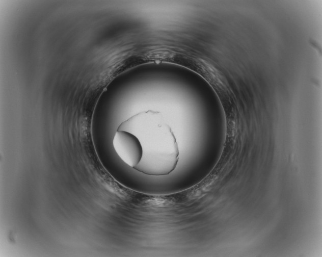 X0000095130326200712071314