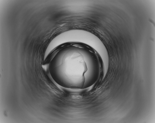 X0000095130327200712071314