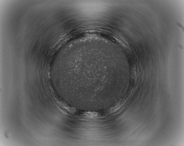 X0000095130328200712071314