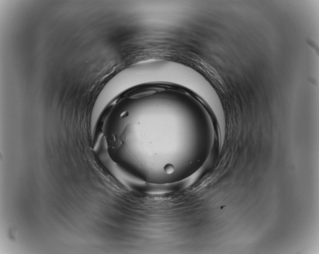 X0000095130329200712071314