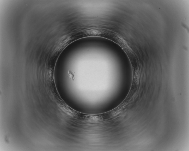 X0000095130330200712071314