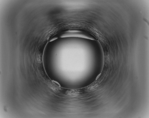 X0000095130331200712071314