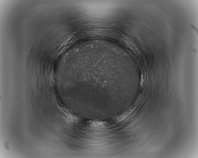 X0000095130332200712071314