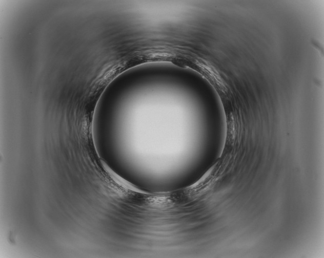 X0000095130333200712071314