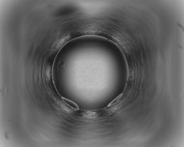 X0000095130334200712071314