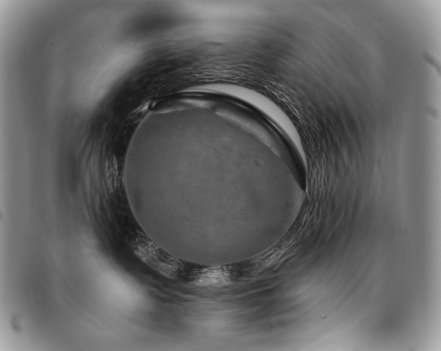 X0000095130335200712071314