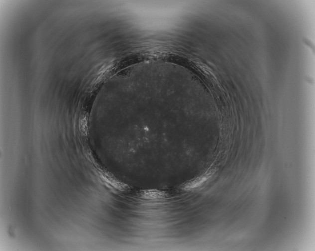 X0000095130336200712071313