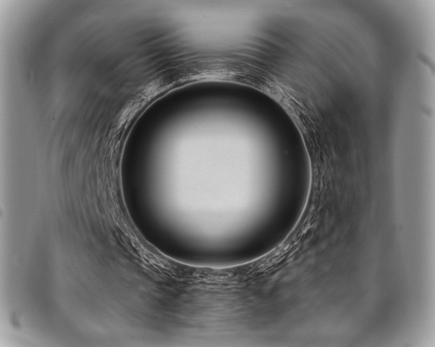 X0000095130337200712071313