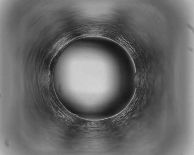 X0000095130338200712071313