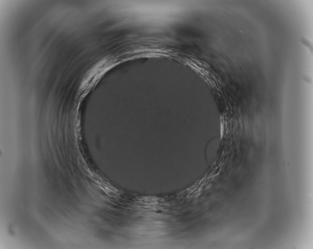 X0000095130339200712071313