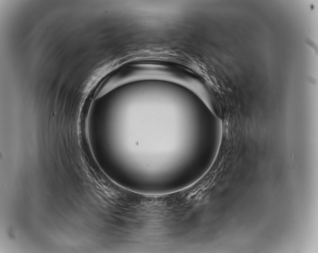 X0000095130340200712071313