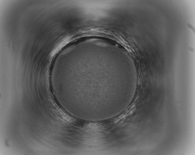 X0000095130341200712071313