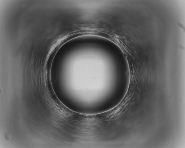 X0000095130342200712071313