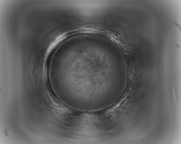 X0000095130343200712071313