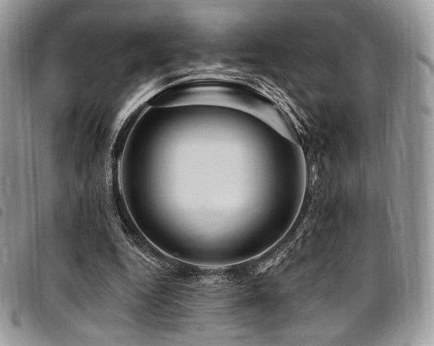 X0000095130344200712071313