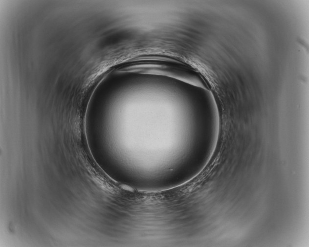 X0000095130345200712071313