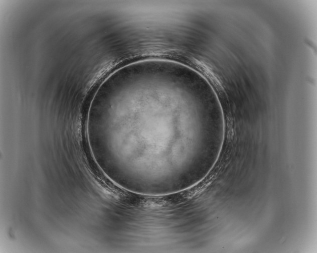 X0000095130346200712071313