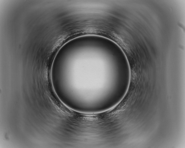 X0000095130347200712071313