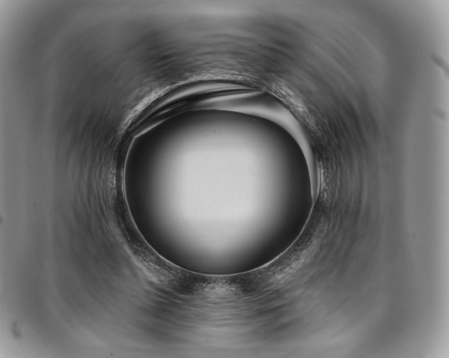 X0000095130348200712071313