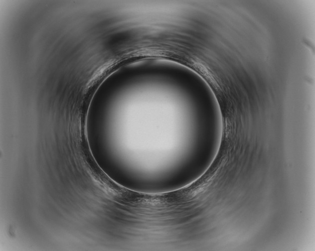 X0000095130349200712071313