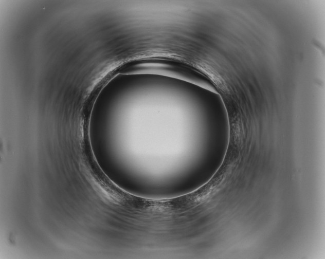 X0000095130350200712071313