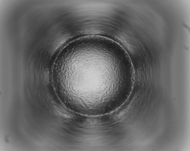 X0000095130351200712071313