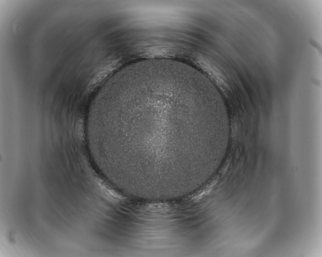 X0000095130353200712071313