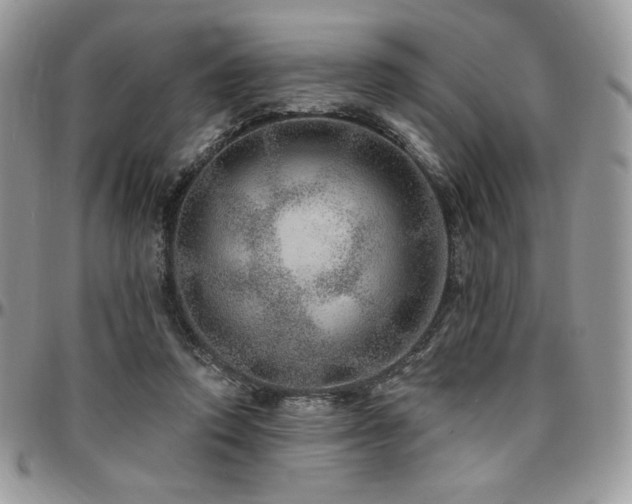 X0000095130354200712071313