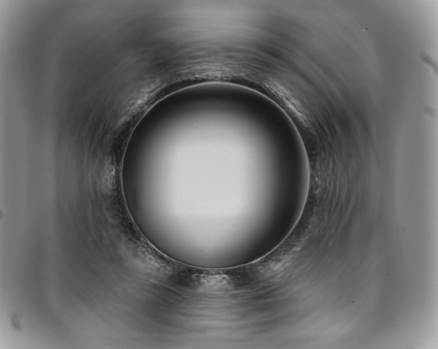 X0000095130355200712071313