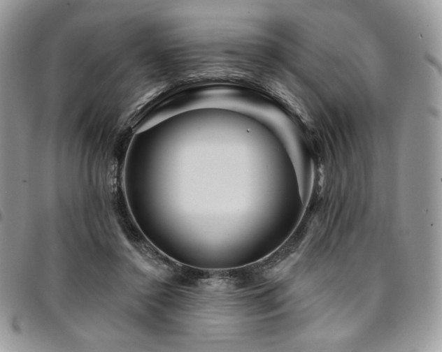 X0000095130356200712071313