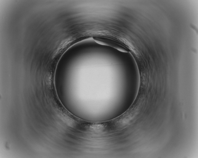 X0000095130357200712071313