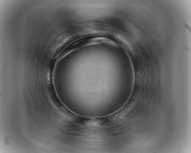 X0000095130358200712071313