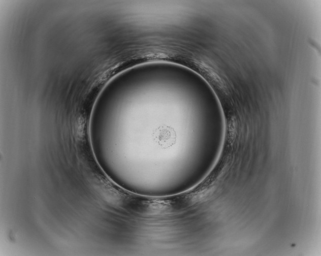 X0000095130359200712071313