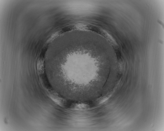 X0000095130360200712071313