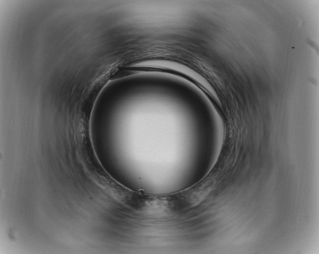 X0000095130362200712071313