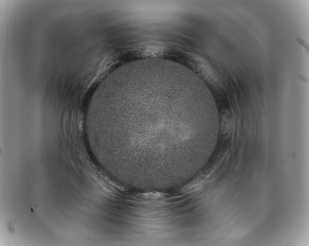 X0000095130363200712071313