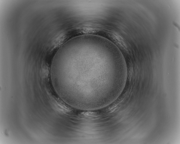 X0000095130367200712071313