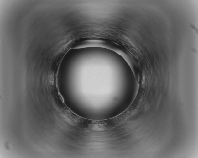 X0000095130368200712071313