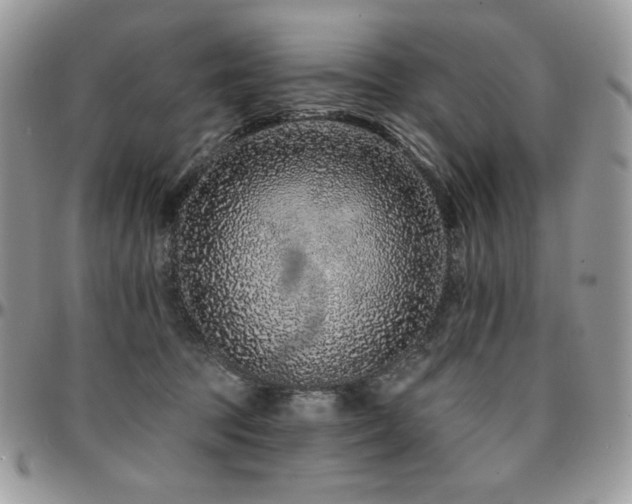X0000095130369200712071313