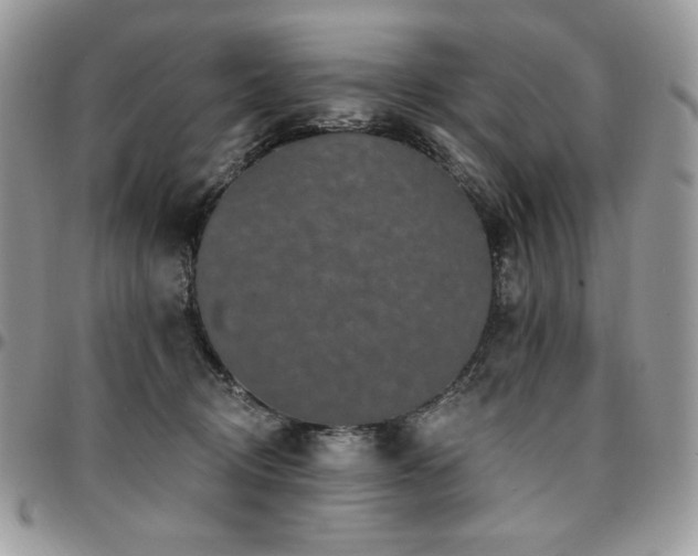 X0000095130370200712071313