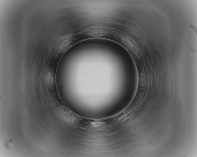 X0000095130371200712071313