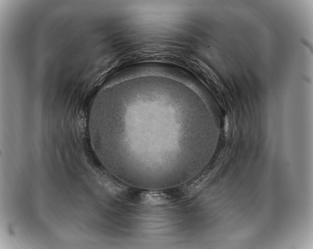 X0000095130372200712071313