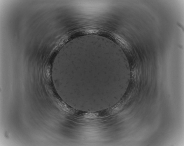 X0000095130373200712071313