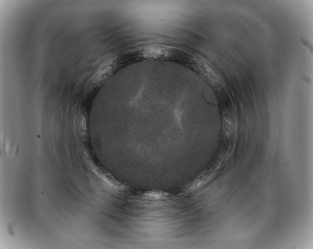 X0000095130375200712071313