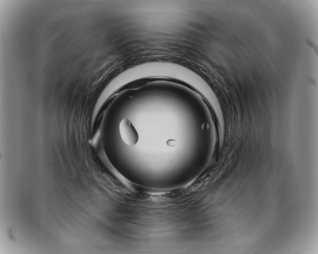 X0000095130376200712071313