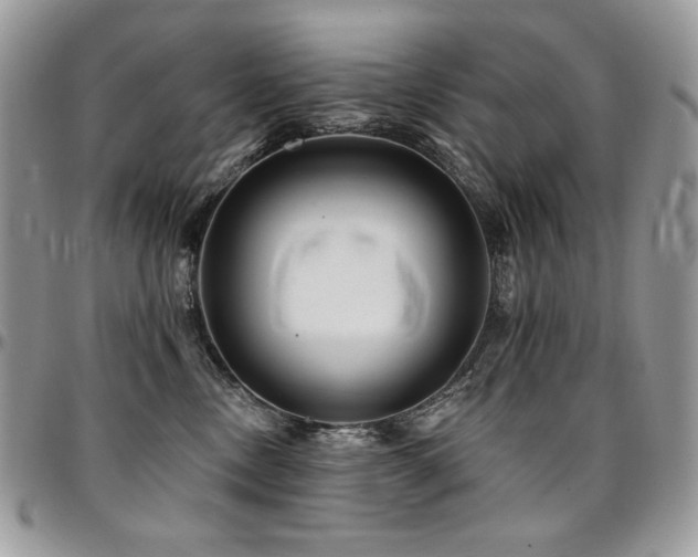 X0000095130378200712071313