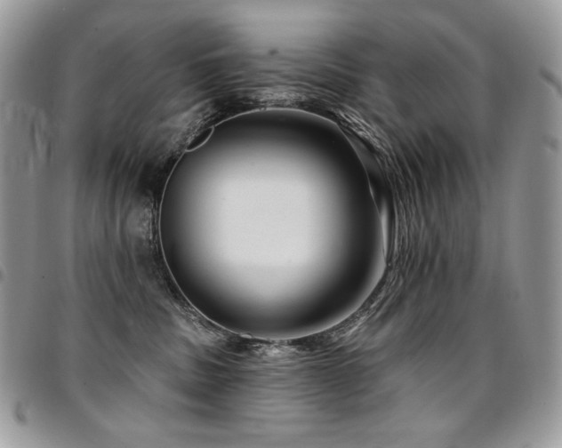 X0000095130379200712071313