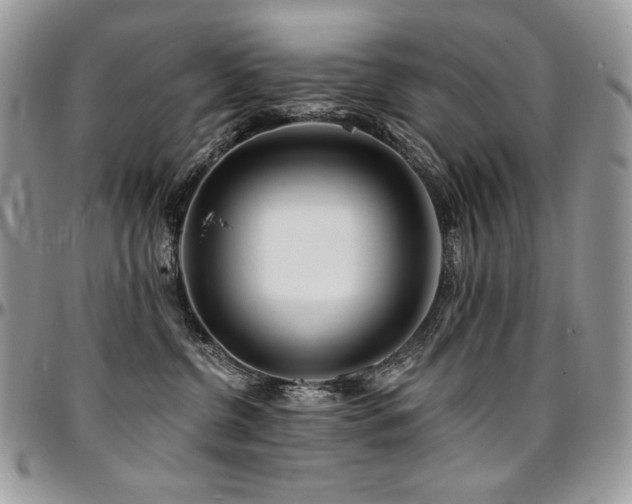 X0000095130380200712071313