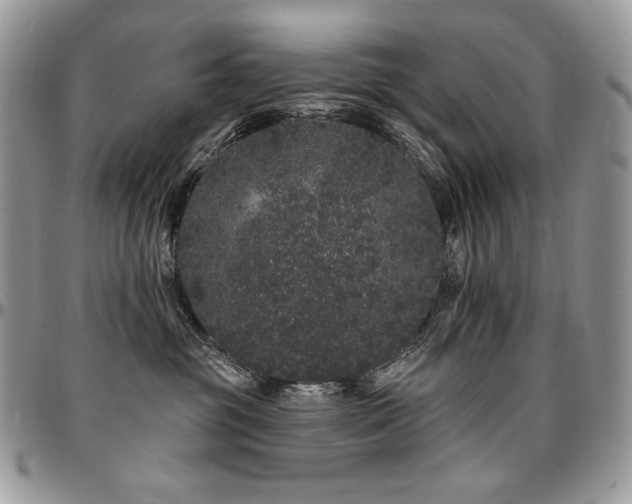 X0000095130381200712071313